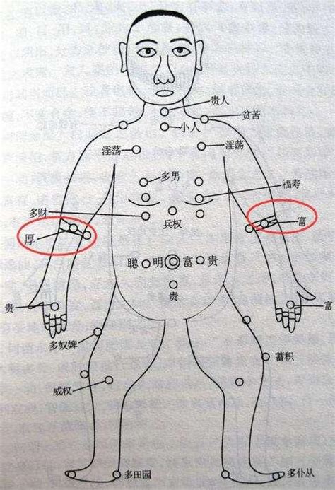 小手臂內側有痣|痣相圖解：手臂上長痣代表的含義